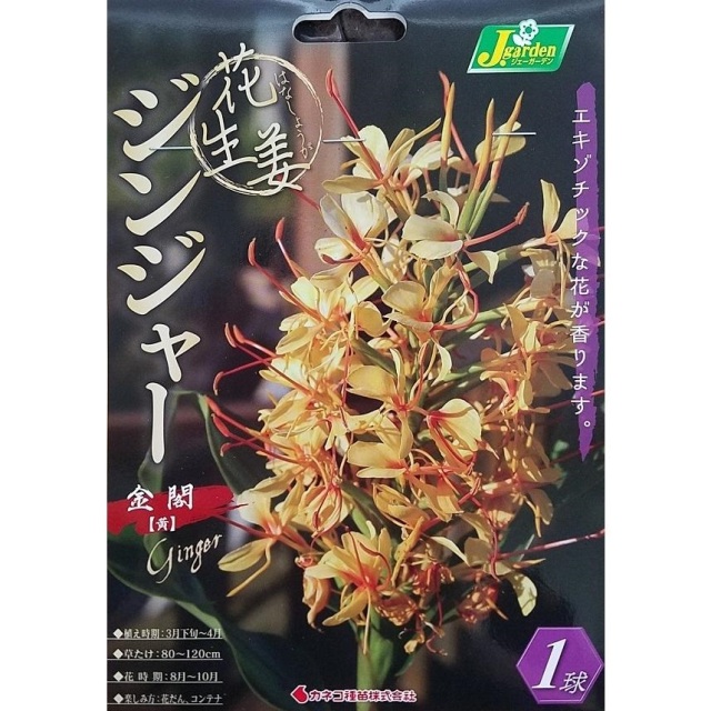 花生姜金閣