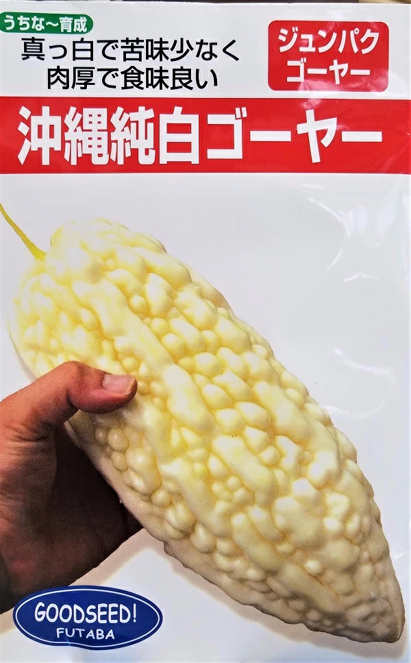 沖縄純白ゴーヤー