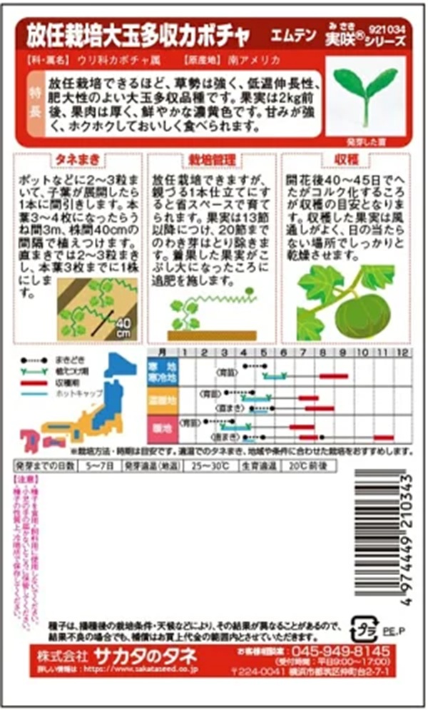 kabocha-emuten2