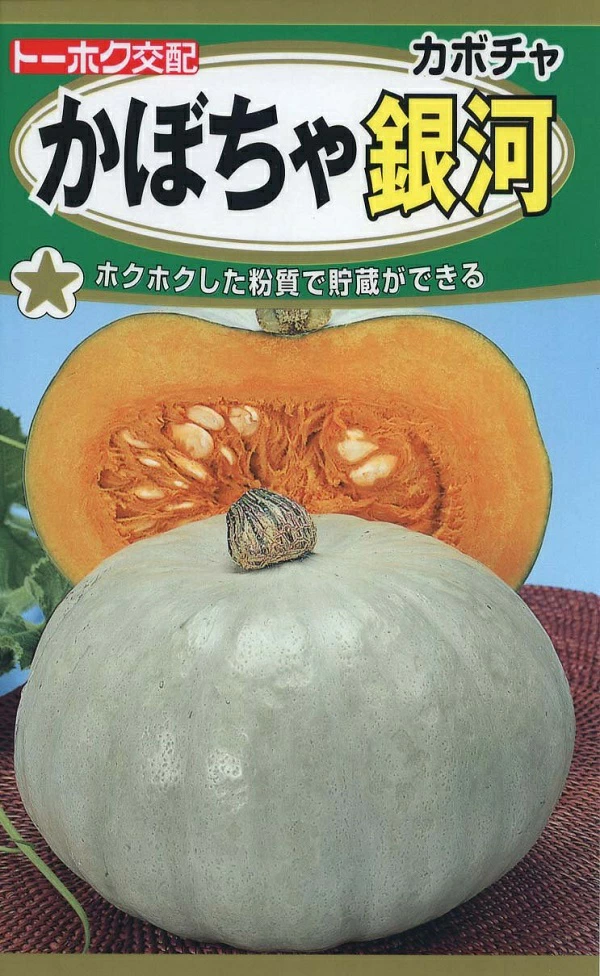 かぼちゃ銀河