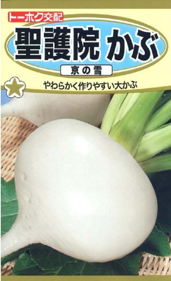 聖護院かぶ 京の雪