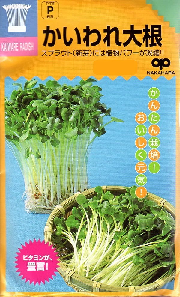 かいわれ大根