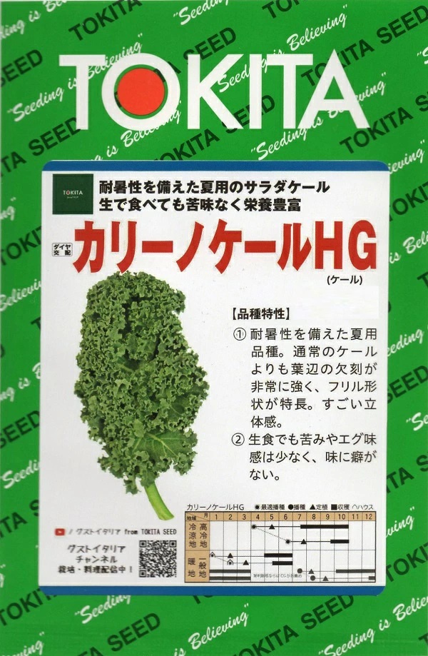 カリーノケールHG