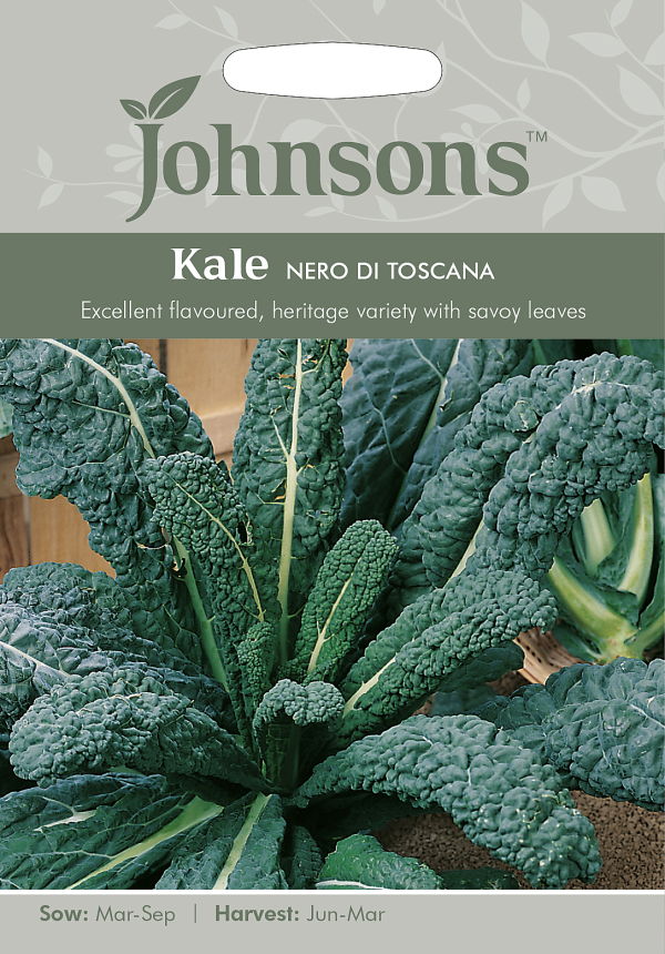 Kale Nero di Toscana ケール ネロ・デ・トスカーナ