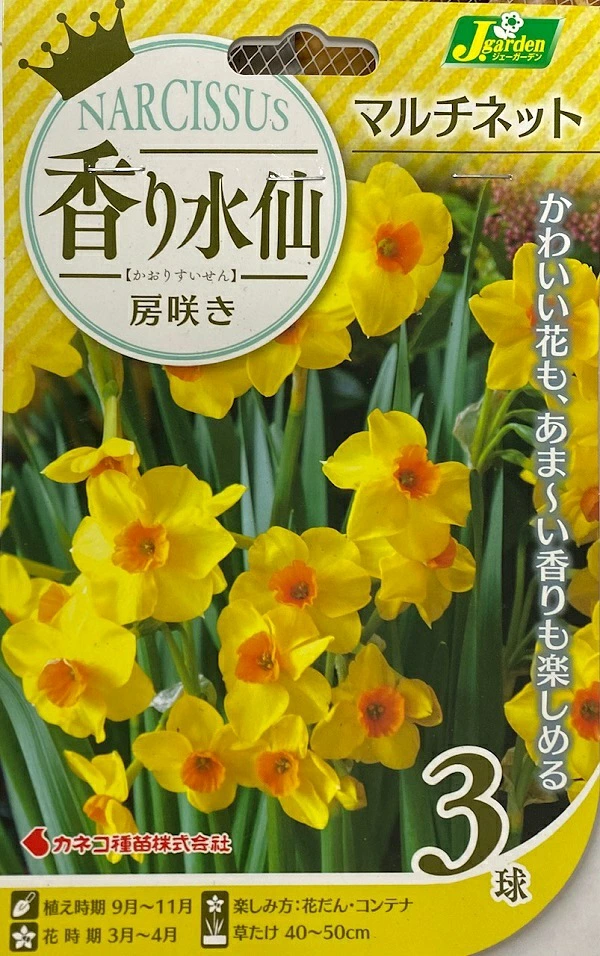 香り水仙 房咲き マルチネット