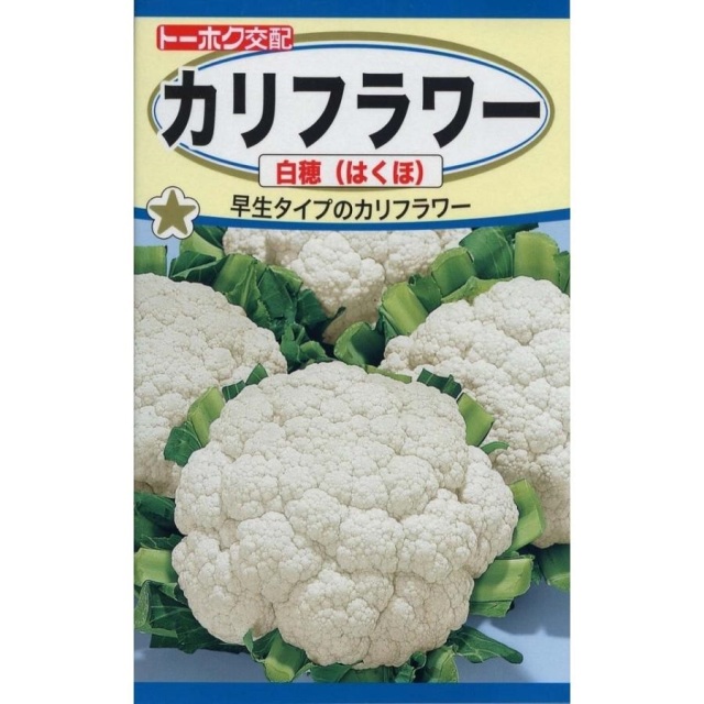 カリフラワー白穂