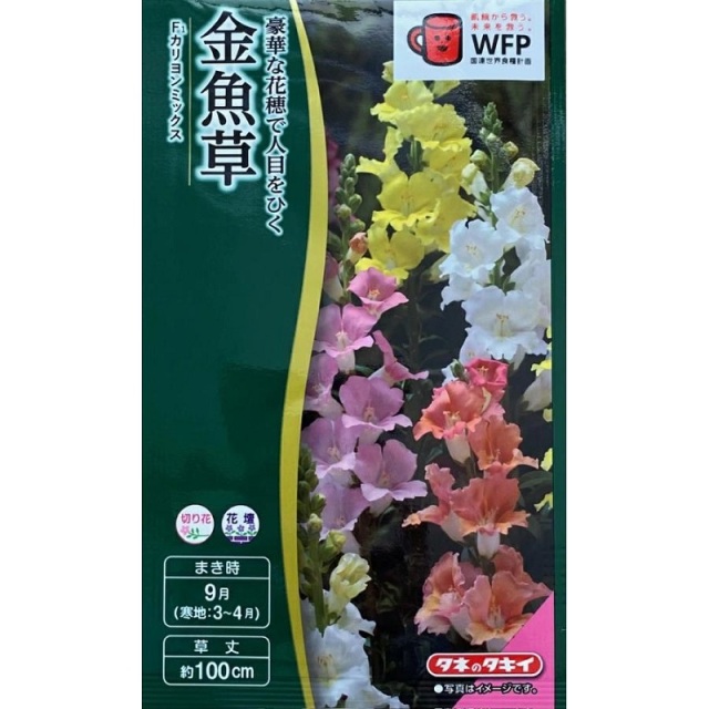 金魚草（アンチヒナム） F1 カリヨンミックス