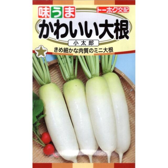 かわいい大根