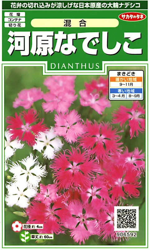 河原なでしこ　混合