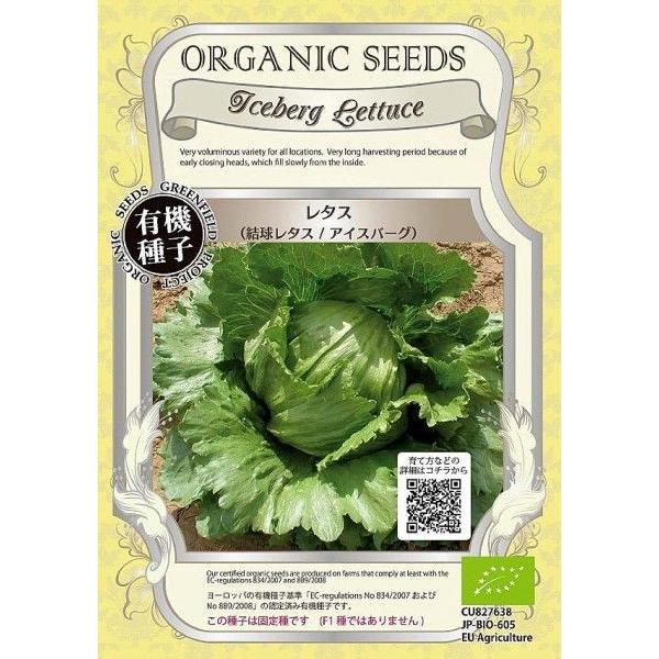 レタス（結球レタス/アイスバーグ）