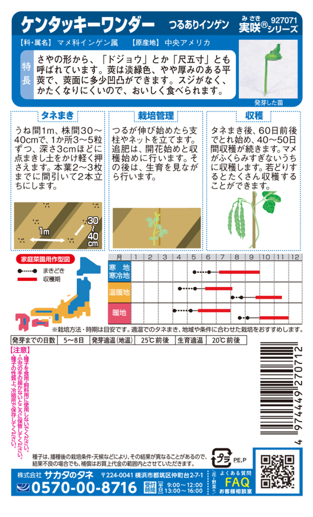 つるありインゲンケンタッキーワンダー