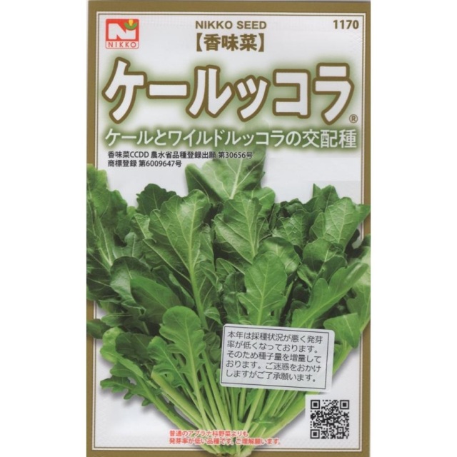 ＊ルッコラページ＊ ルッコラ（ロケット） Rucola（Rocket） Gardener's Shop Ivy