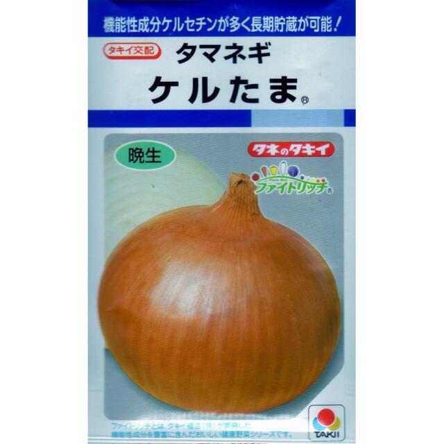 ケルたま