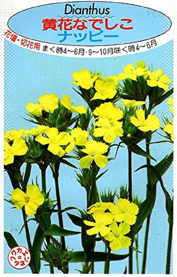 黄花なでしこナッピー