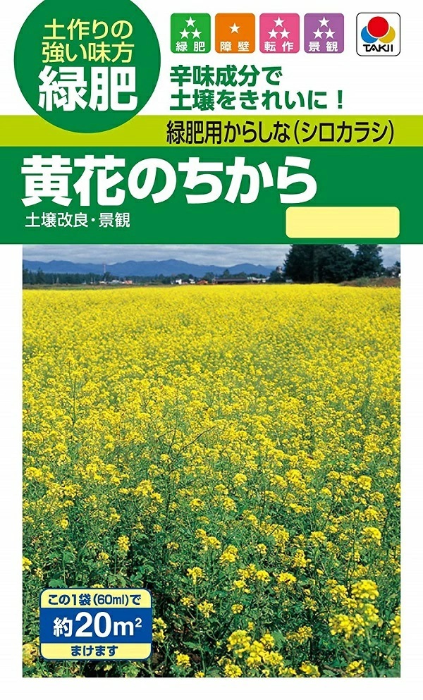 黄花のちから
