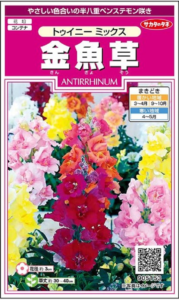 金魚草 トゥイニーミックス