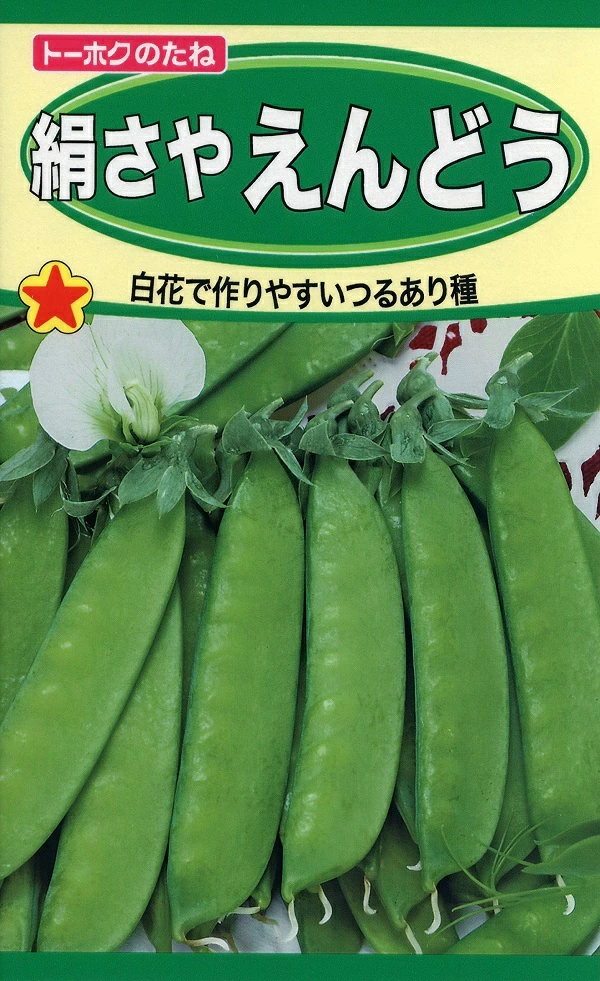 絹さやえんどう