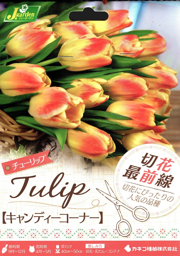 切花最前線 キャンディーコーナー