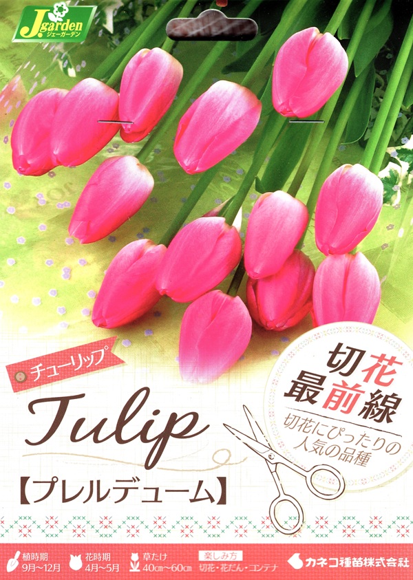 切花最前線 プレルデューム