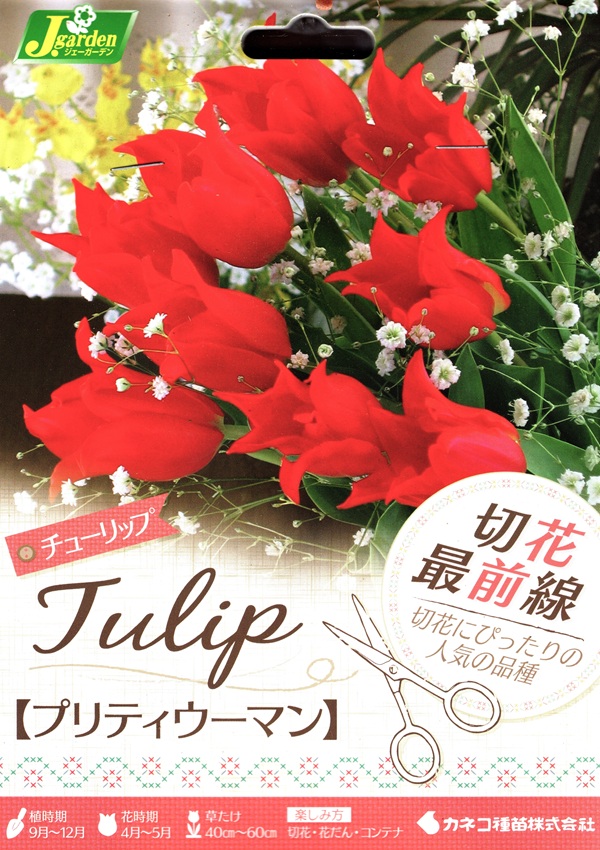 切花最前線 プリティウーマン