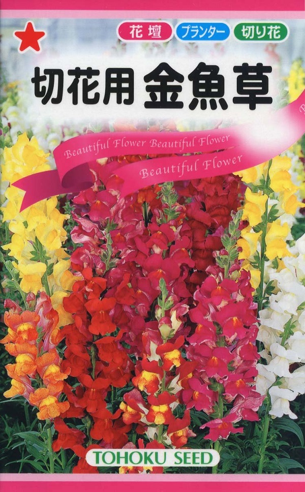 金魚草
