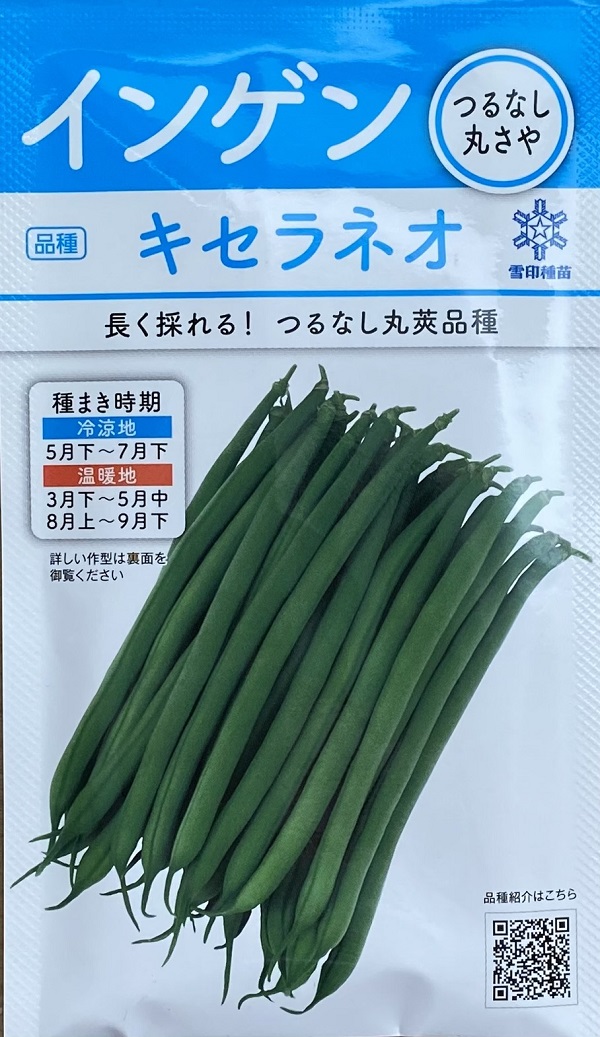 キセラネオ