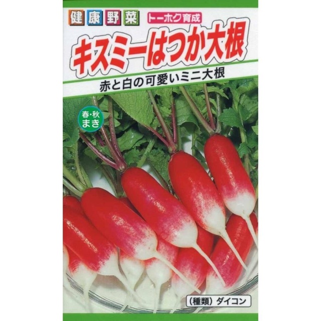 キスミーはつか大根