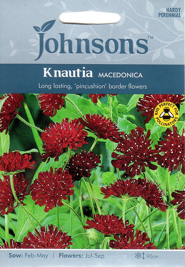 ナーティア（クナウティア）・ マセドニカ