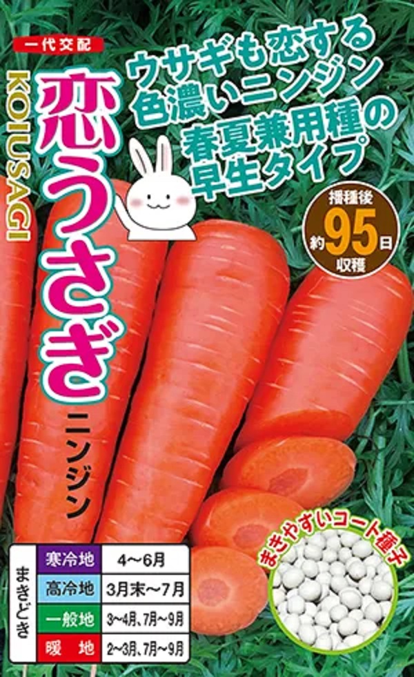 恋うさぎ2