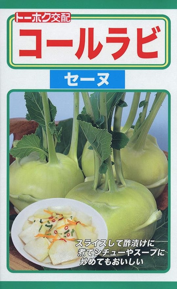 コールラビ　セーヌ