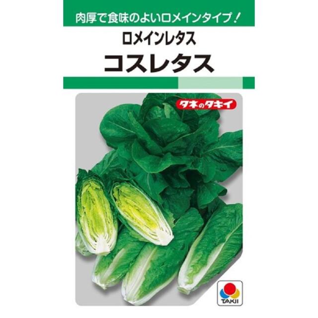 ロメインレタスコスレタス