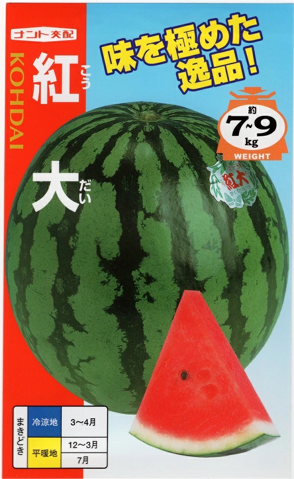 すいか　紅大
