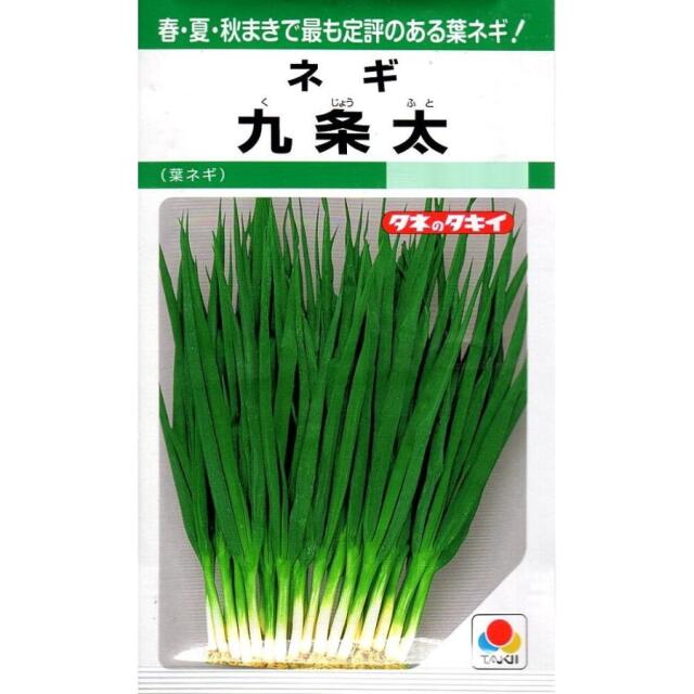 九条太