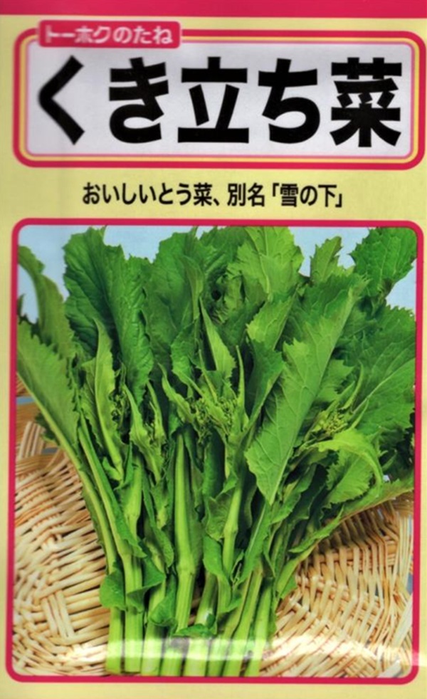 くき立ち菜