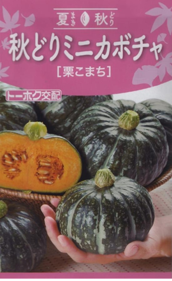 秋どりミニカボチャ 栗こまち