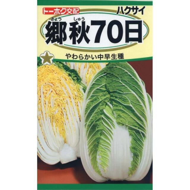 郷秋70