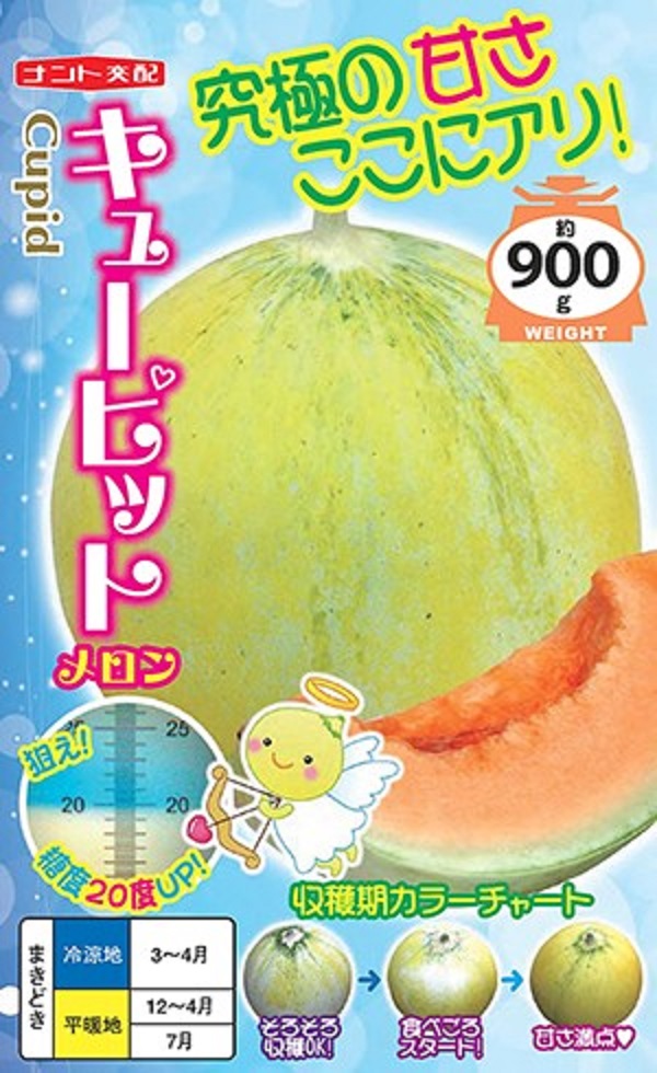 メロン キューピット