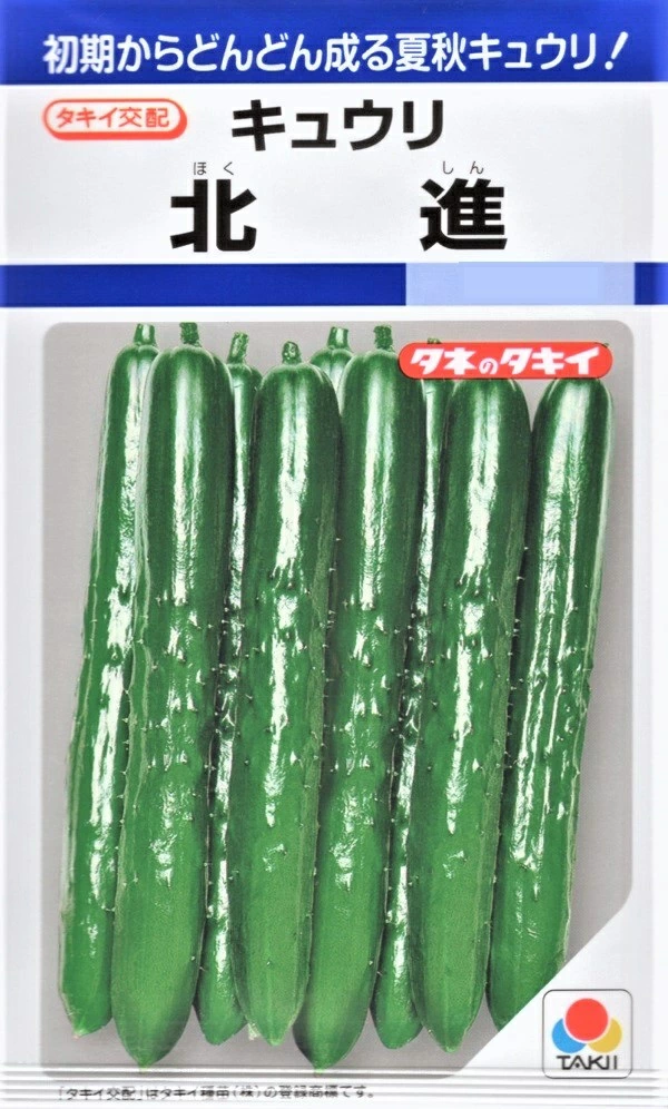 キュウリ北進