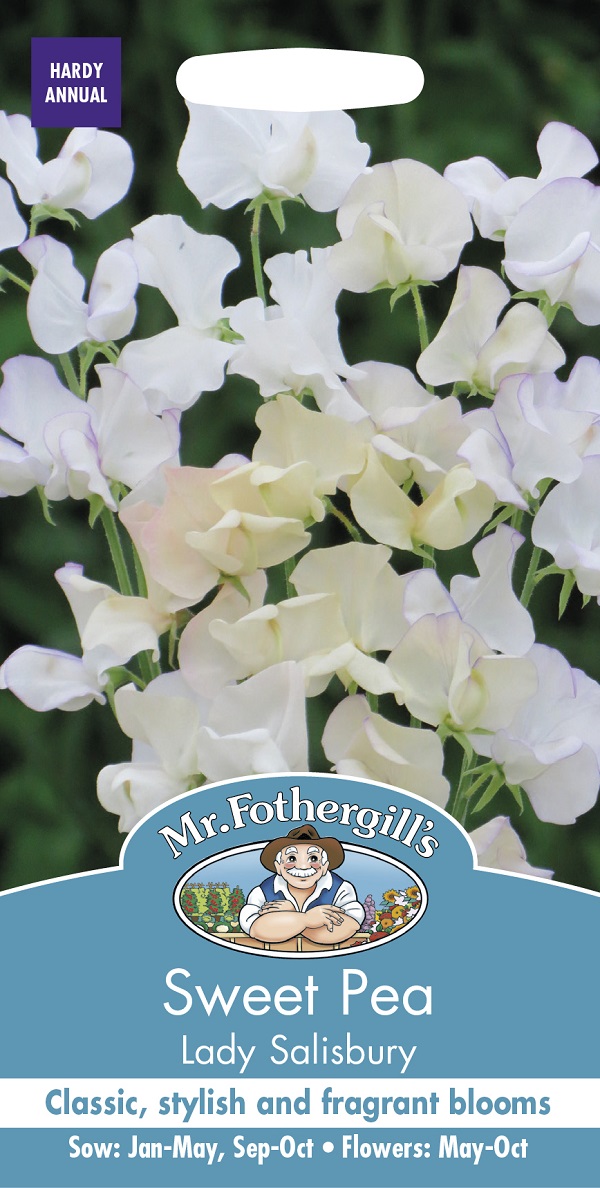 Sweet Pea Lady Salisbury スイートピー レディソールズベリー