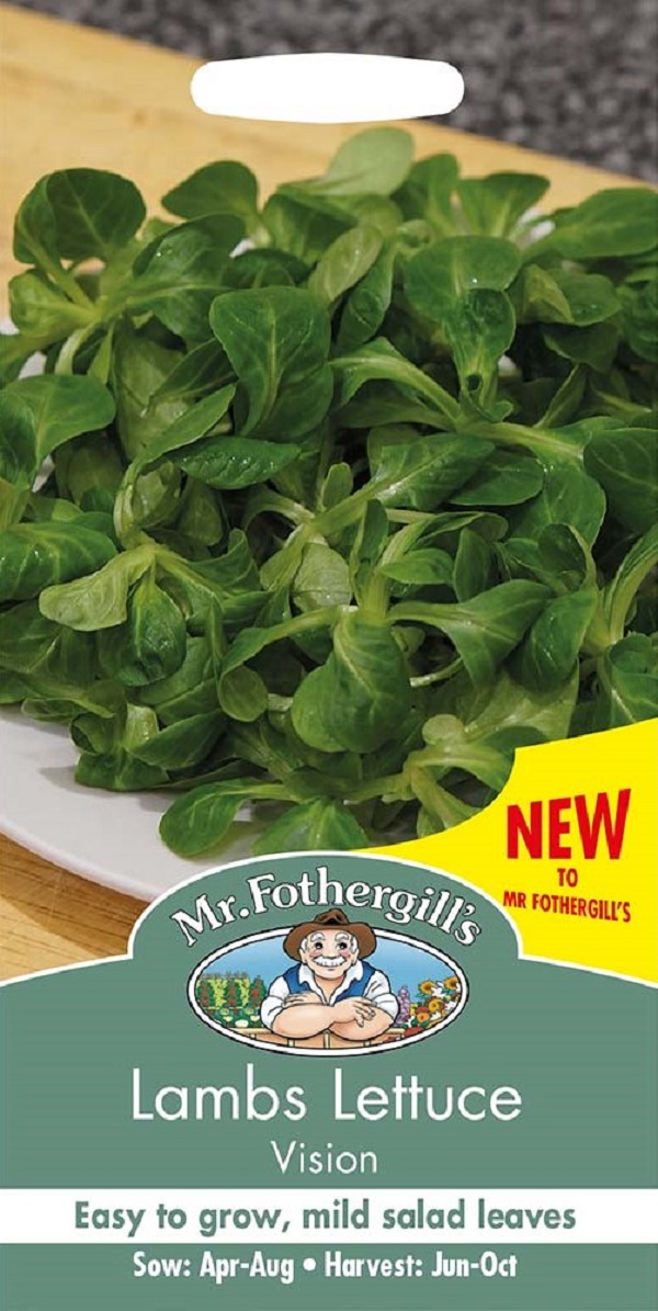 ラムズ・レタス（コーンサラダ）