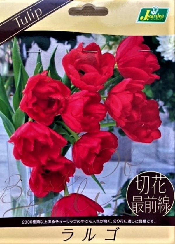 切花最前線ラルゴ