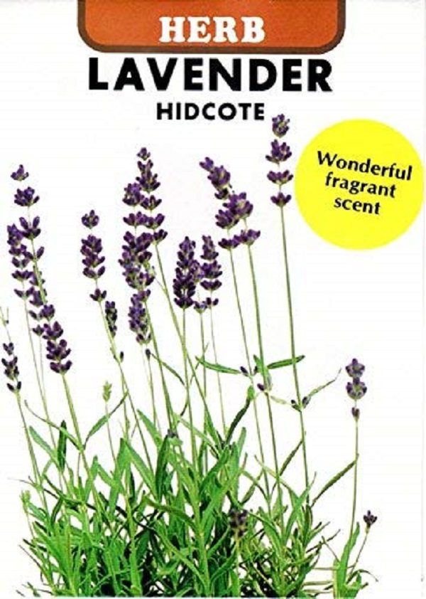 ラベンダー　ヒデコート
