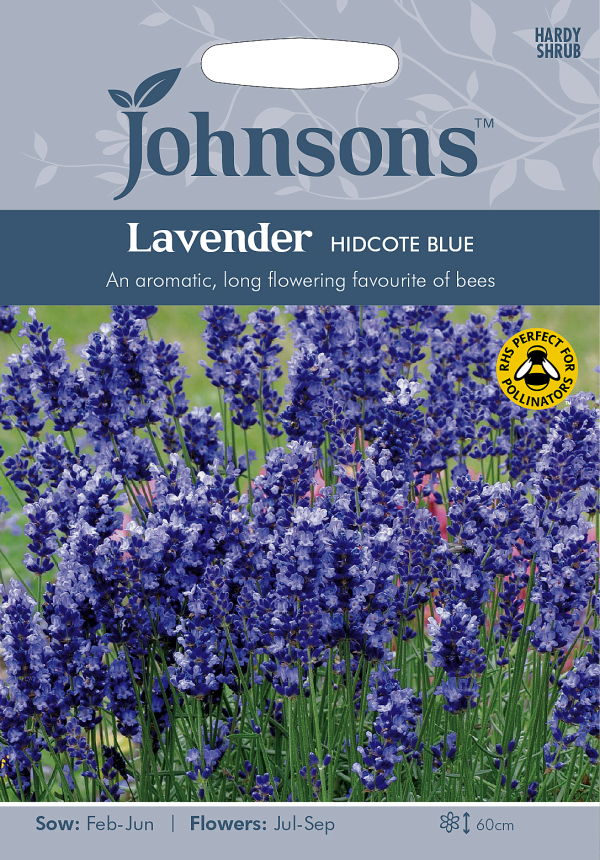 ラベンダー・ヒドコート・ブルー・ストレイン