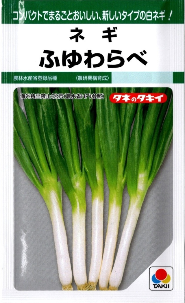 ネギふゆわらべ