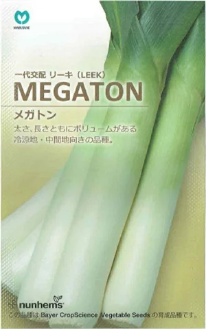 メガトン　リーキ