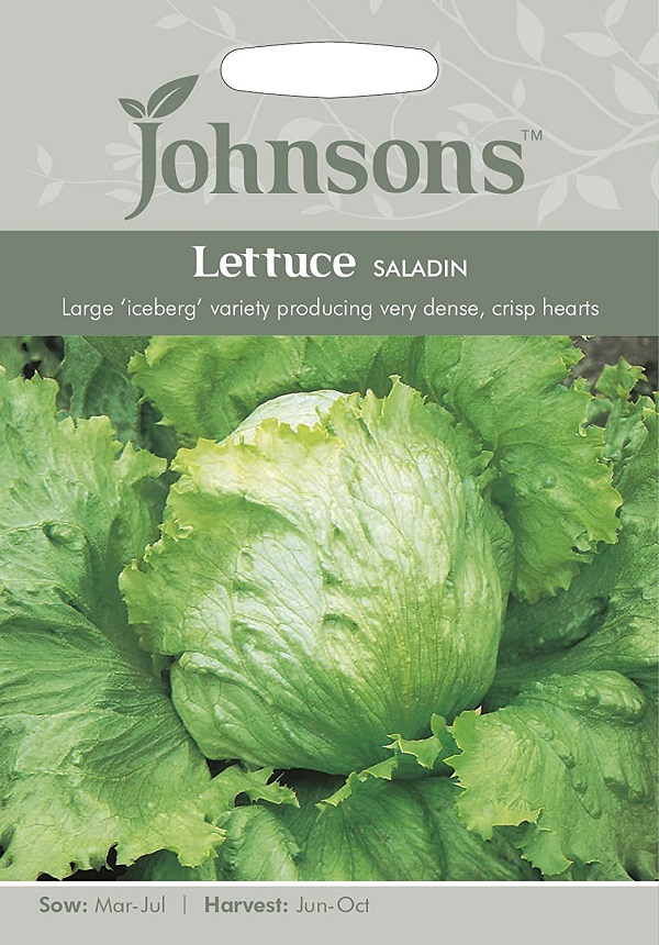 Lettuce SALADIN レタス・サラディン