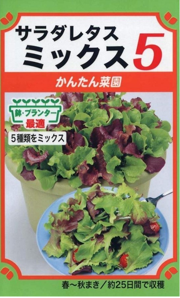 サラダレタス ミックス5