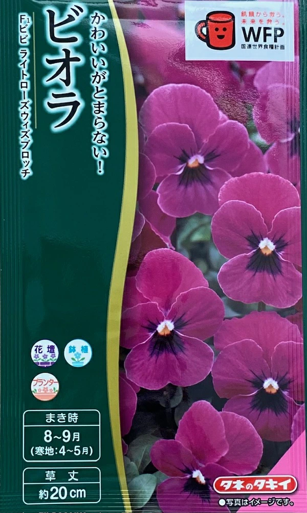 ビオラビビライトローズウィズブロッチ