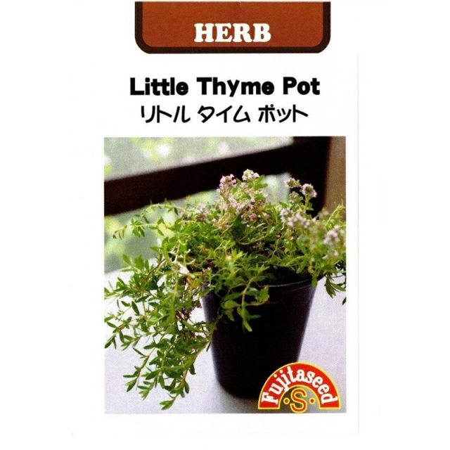 リトルタイムポット