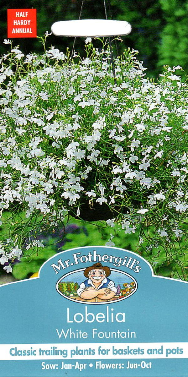lobelia white founta